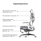 Кресло игровое LuxAlto X5 PRO-301 с подставкой для ног, Серое